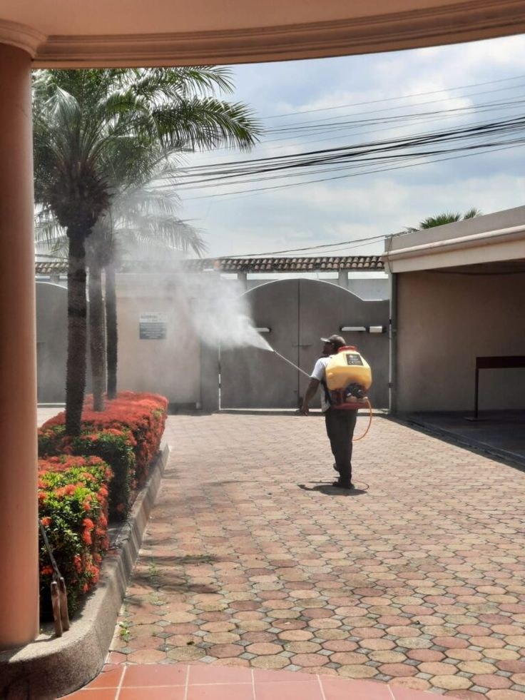 Professional fumigation and pest control