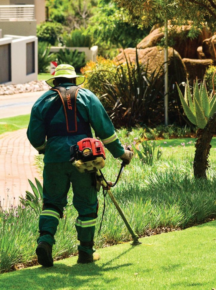 Garden maintenance with a trimmer on a neat lawn